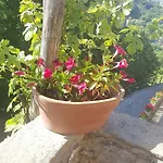 La Del Podesta Cinque Terre 3* Λα Σπέτσια