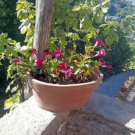La Del Podesta Cinque Terre لا سبيتسْيا